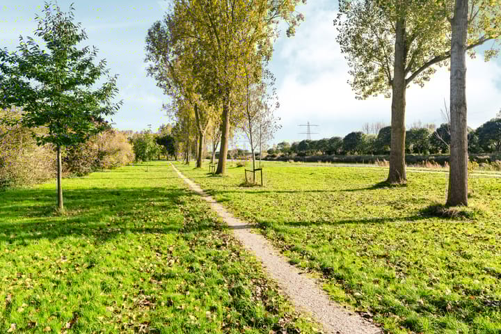 Foto 64 van Vlinderplantsoen 1