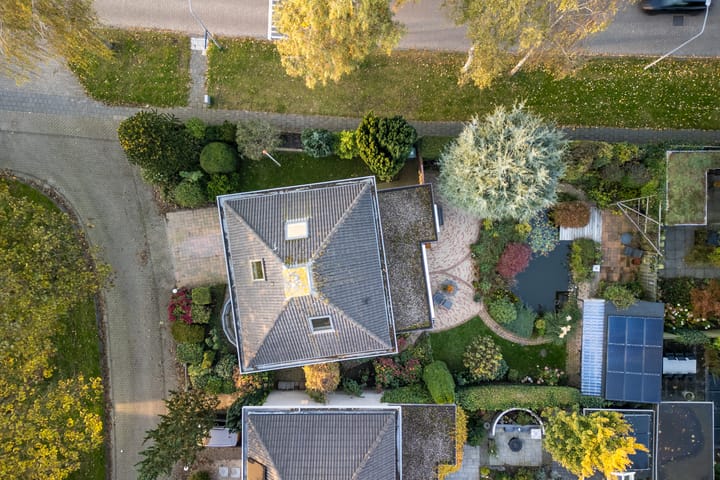 Foto 65 van Vlinderplantsoen 1