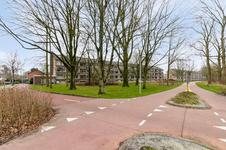 Foto 29 van Spirealaan 116