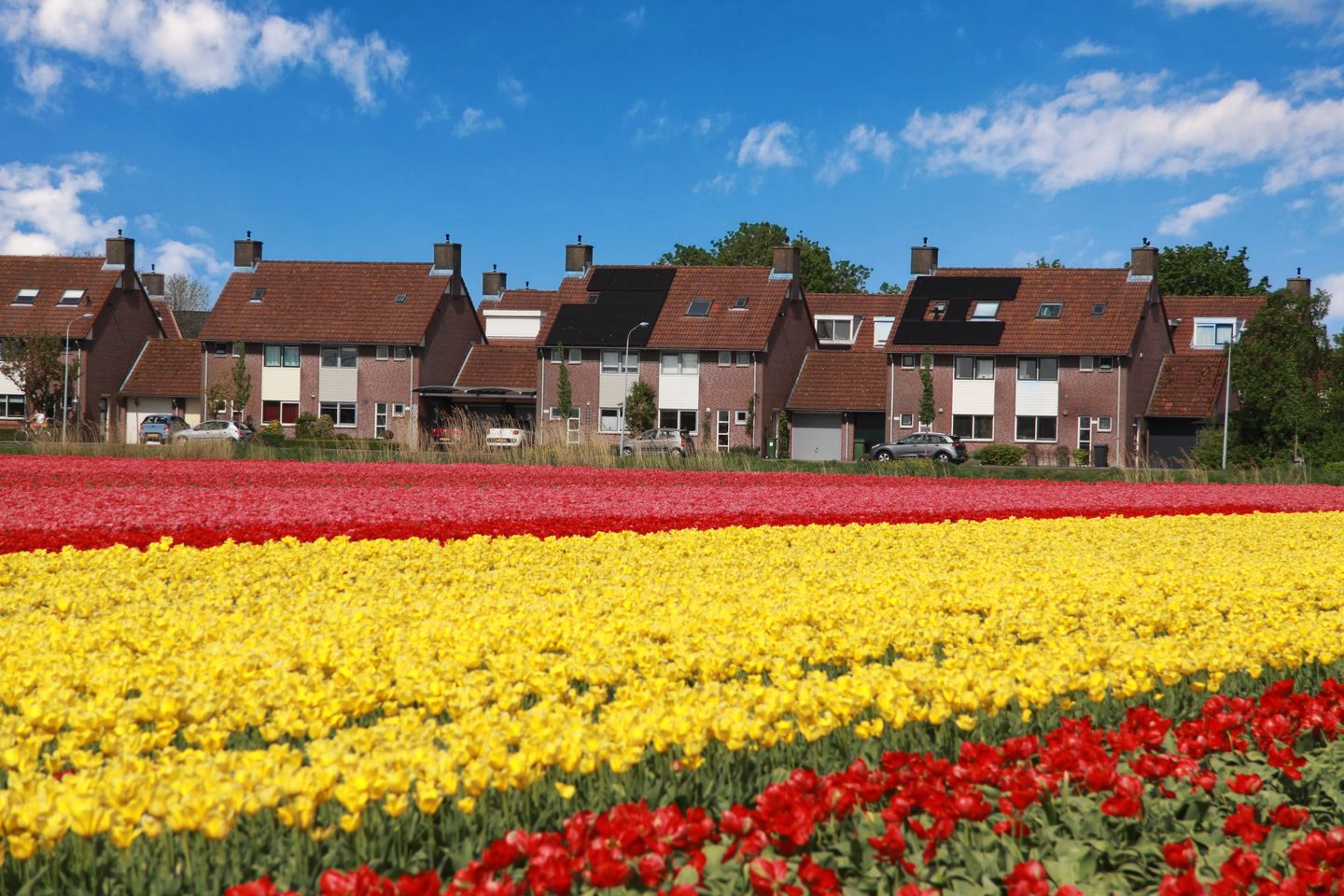 Foto 40 van Leidsevaart 262