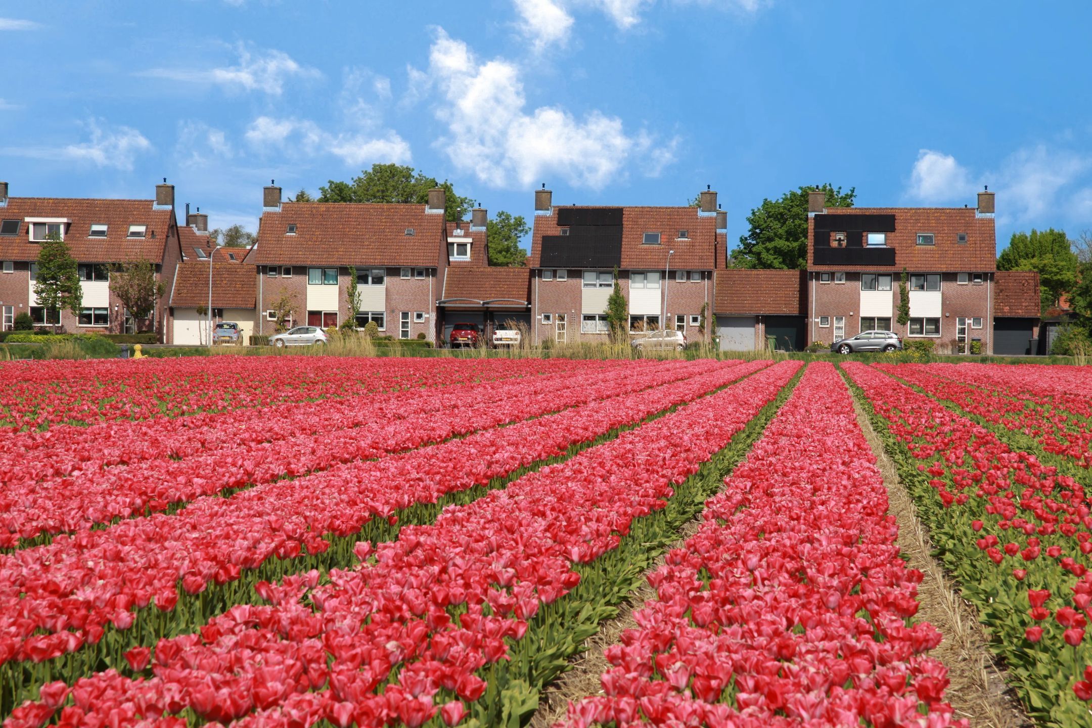 Foto 39 van Leidsevaart 262