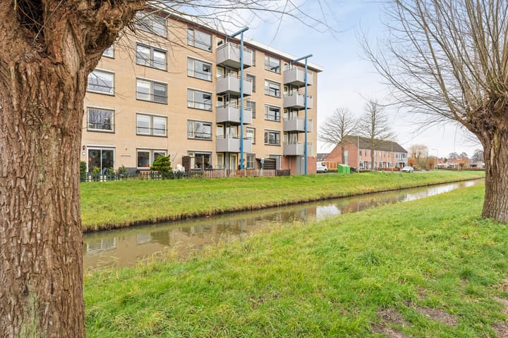 Foto 6 van Frans Walkatehof 34