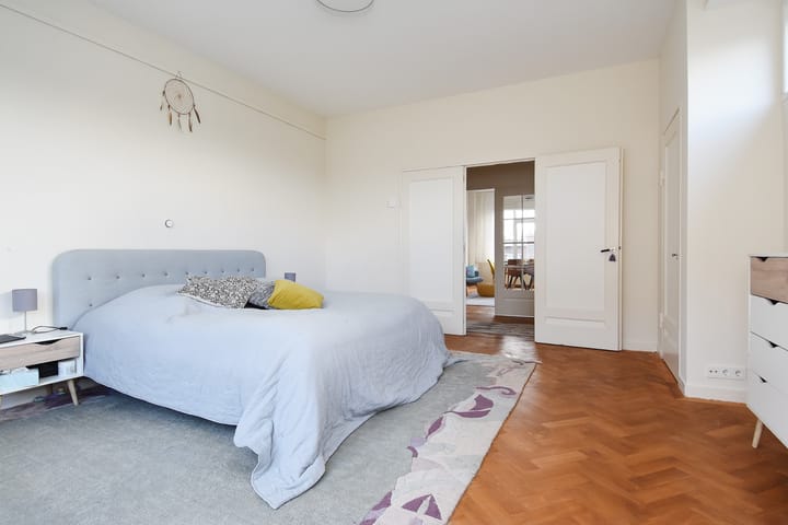 Foto 19 van Van Alkemadelaan 350-220