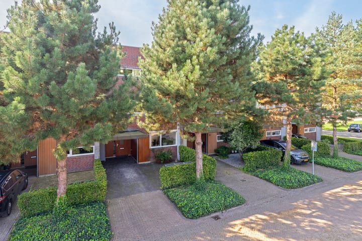 Foto 47 van Mortel 53