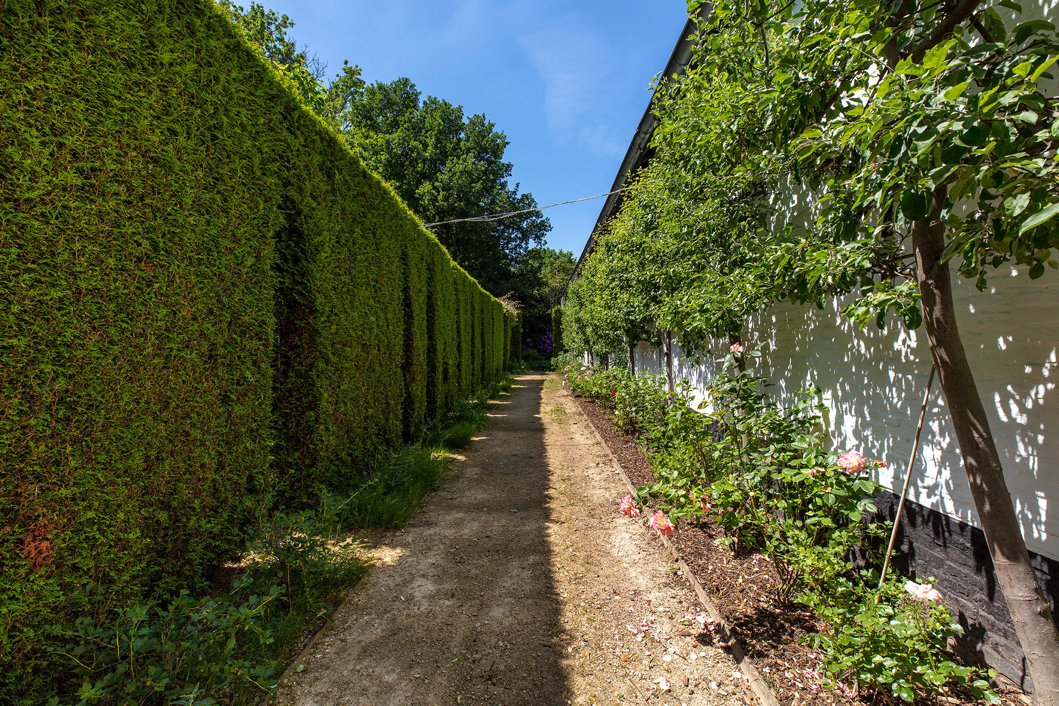 Foto 30 van Rouenhof 19