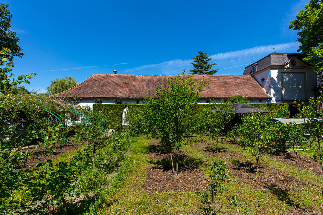 Foto 31 van Rouenhof 19