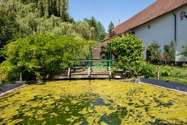 Foto 32 van Rouenhof 19