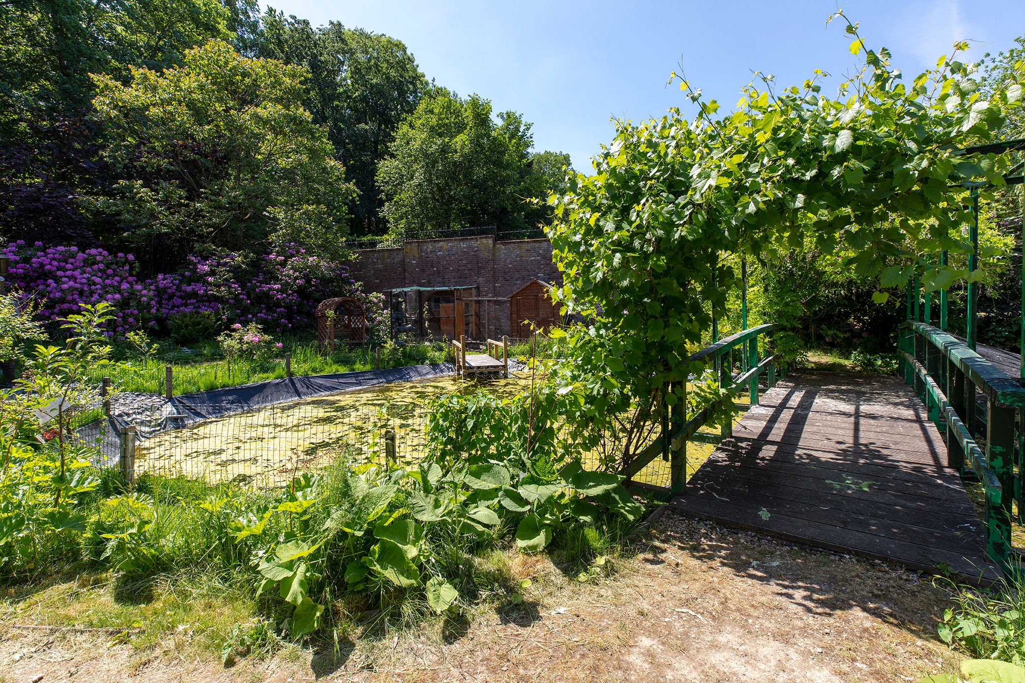 Foto 33 van Rouenhof 19