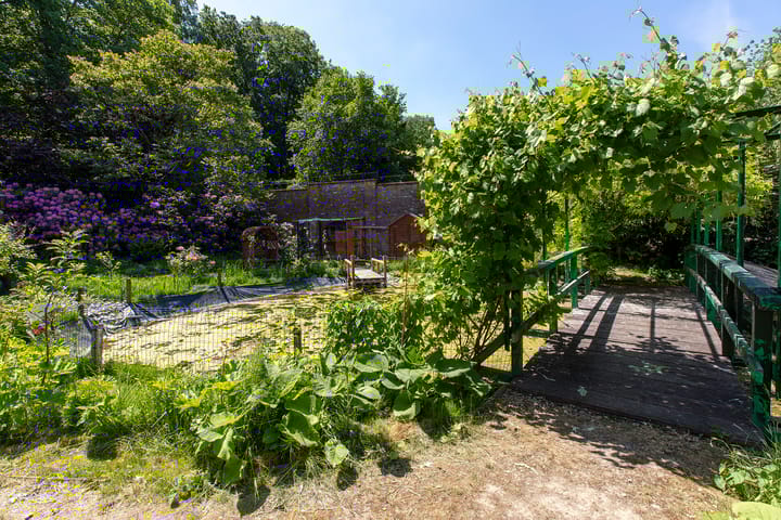 Foto 33 van Rouenhof 19