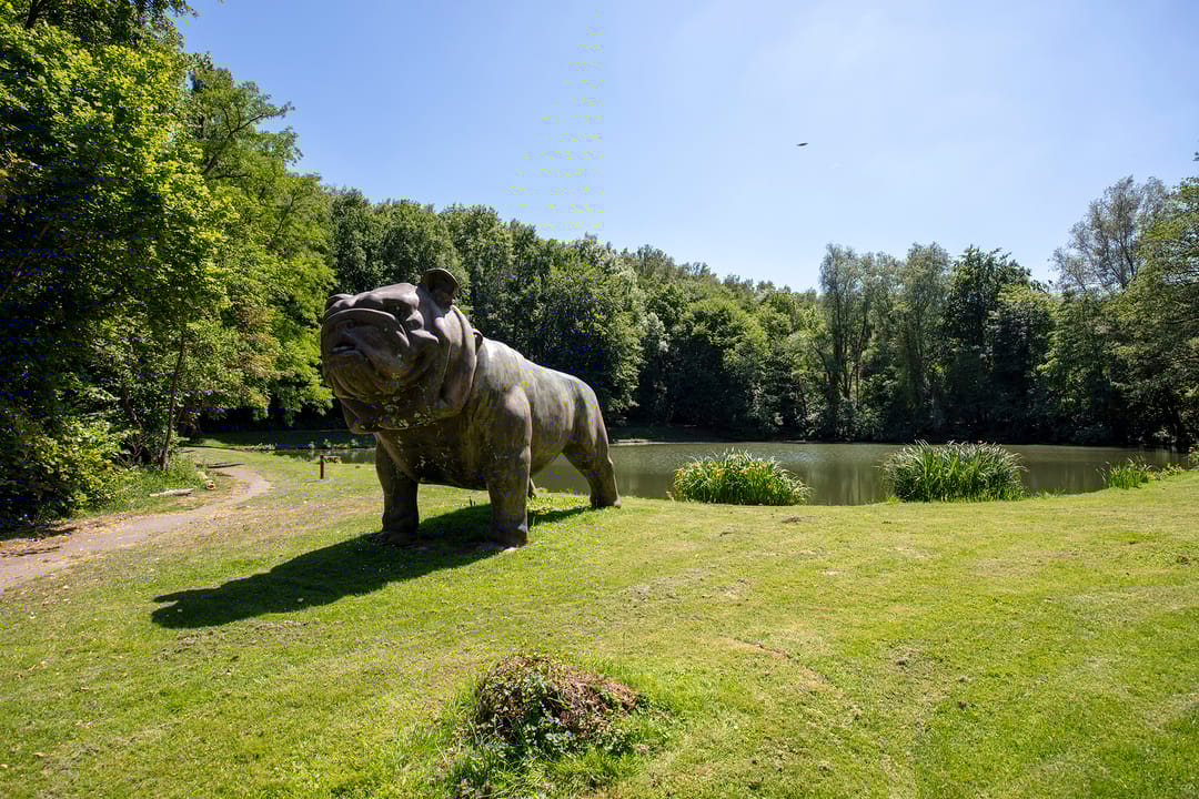 Foto 47 van Rouenhof 19