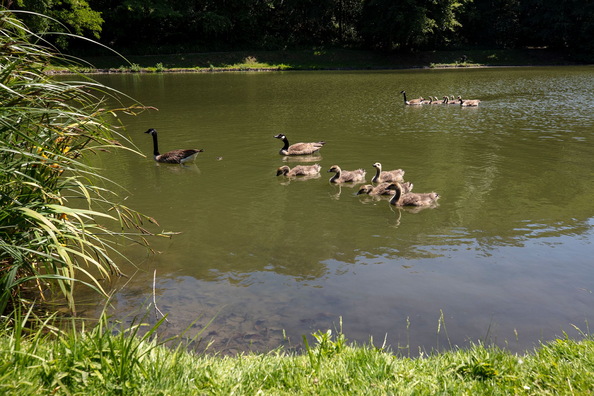 Foto 48 van Rouenhof 19