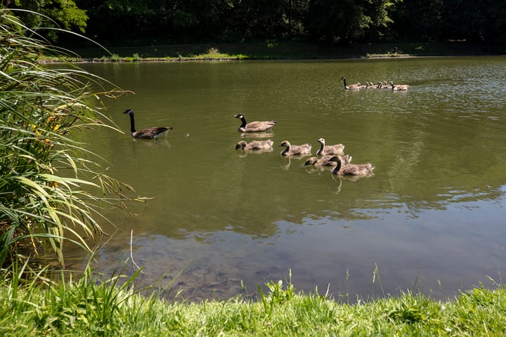 Foto 48 van Rouenhof 19