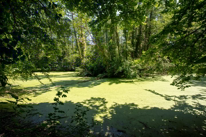 Foto 50 van Rouenhof 19