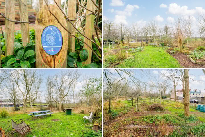 Foto 57 van Polderland 71