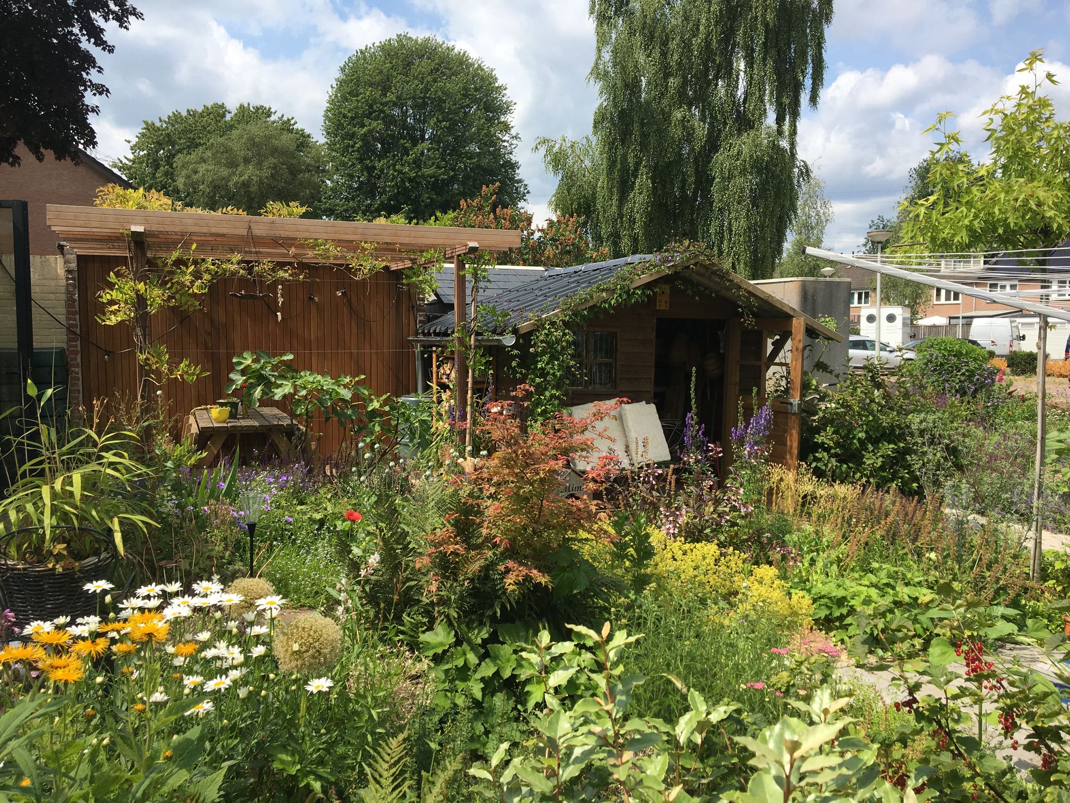 Foto 36 van Winterstraat 34