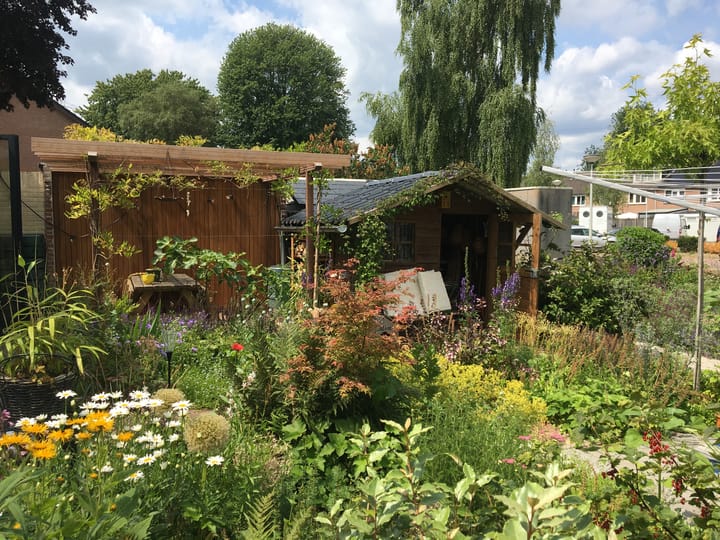 Foto 36 van Winterstraat 34