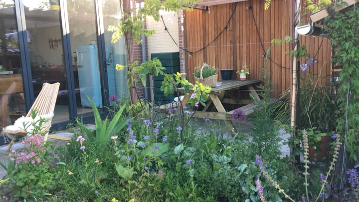 Foto 37 van Winterstraat 34