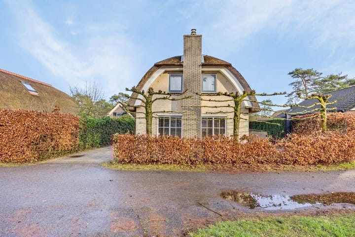 Foto 2 van Plaggeweg 90-0030