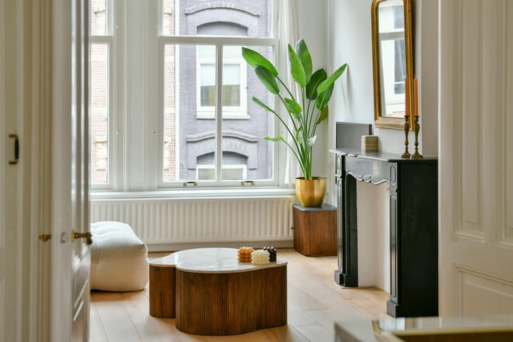 Foto 2 van Tweede Jan Steenstraat 114-2