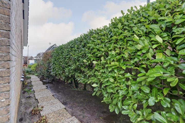 Foto 51 van Bûterikkers 52