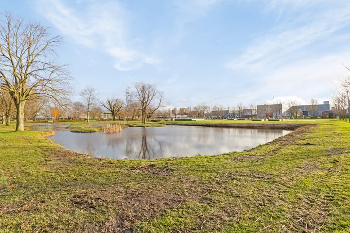 Photo 30 of Oud Ambacht 42