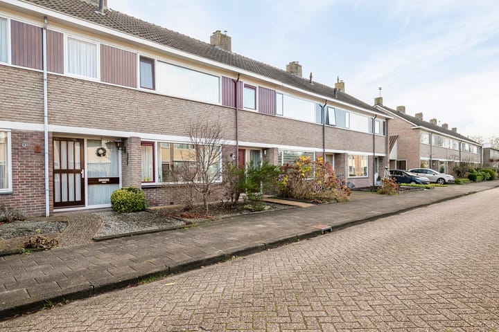 Foto 5 van Bouriciuslaan 9