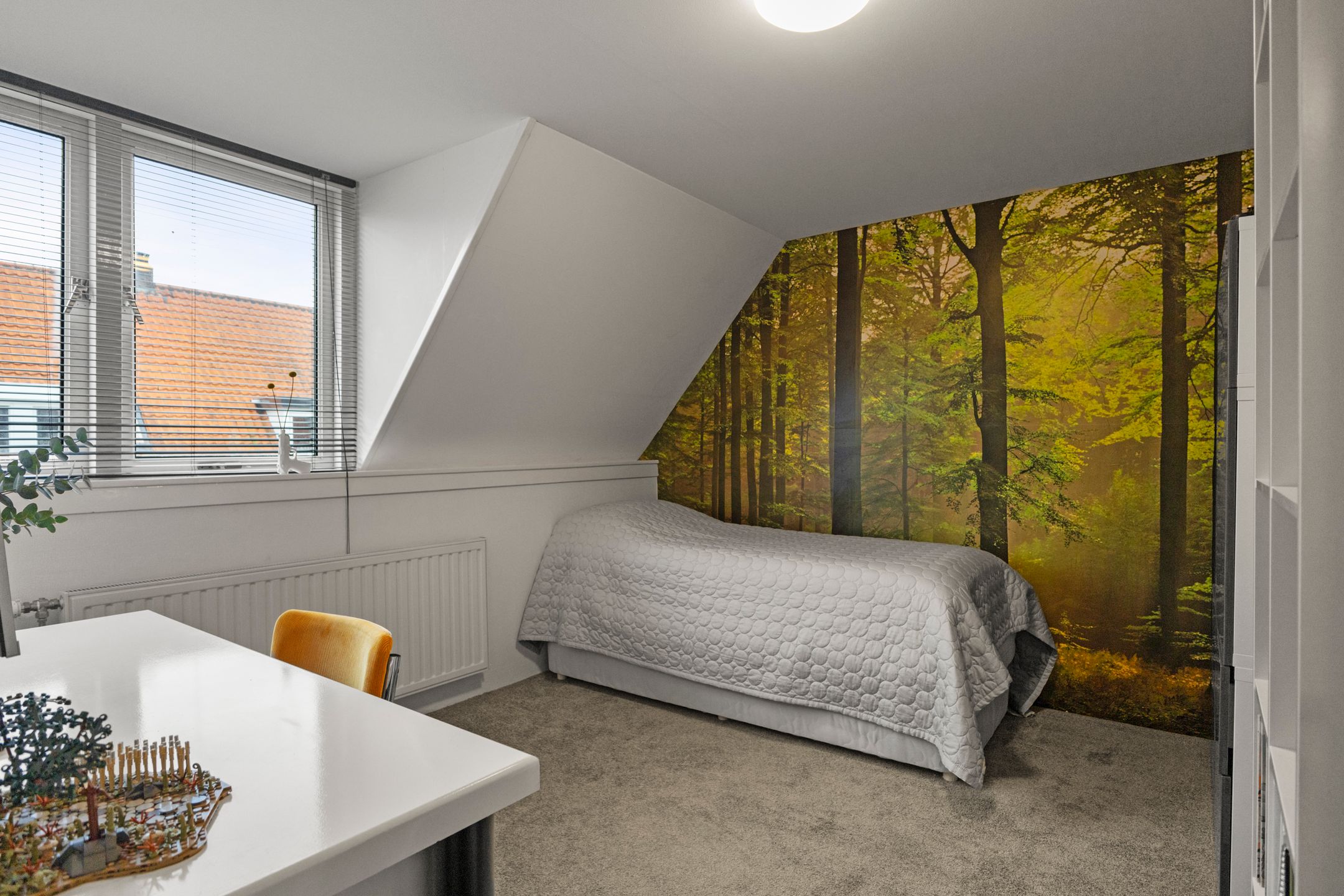 Foto 21 van Erasmusstraat 12