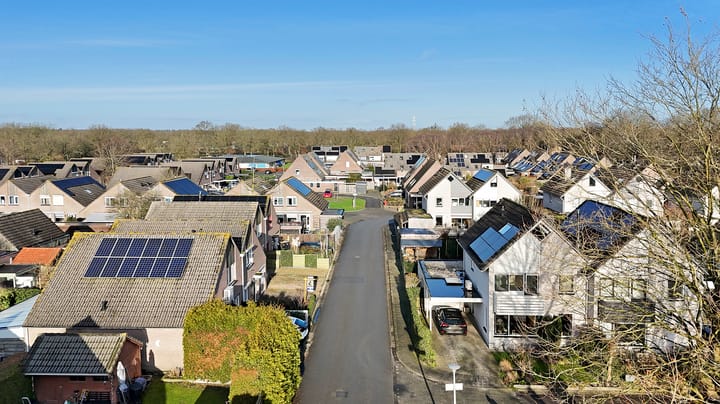 Foto 29 van Eendenveld 27