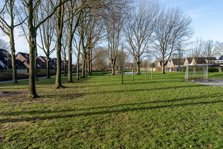 Foto 4 van Dollard 130