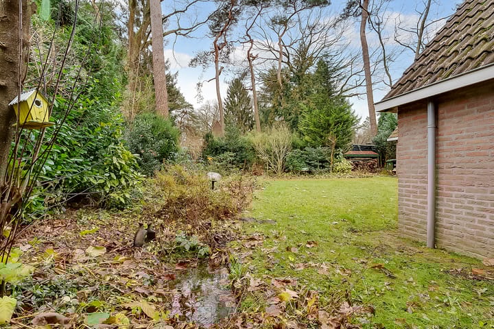 Foto 43 van Schaapskooi 19