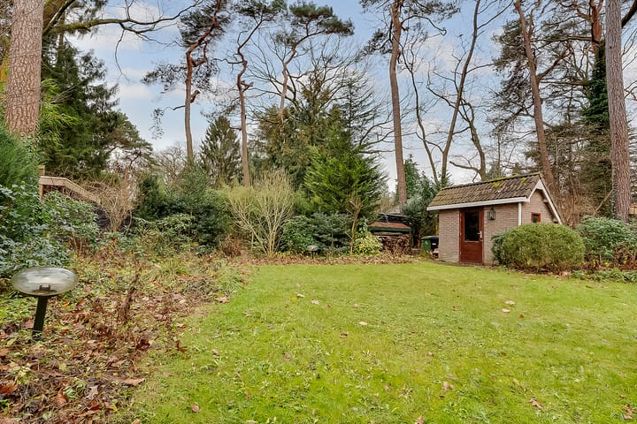 Foto 44 van Schaapskooi 19