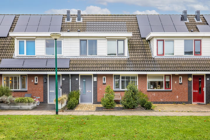 Foto 1 van Vedergras 13