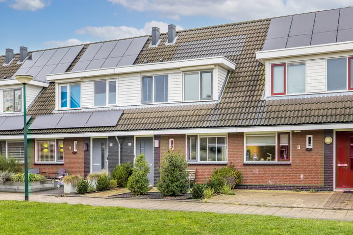 Foto 35 van Vedergras 13