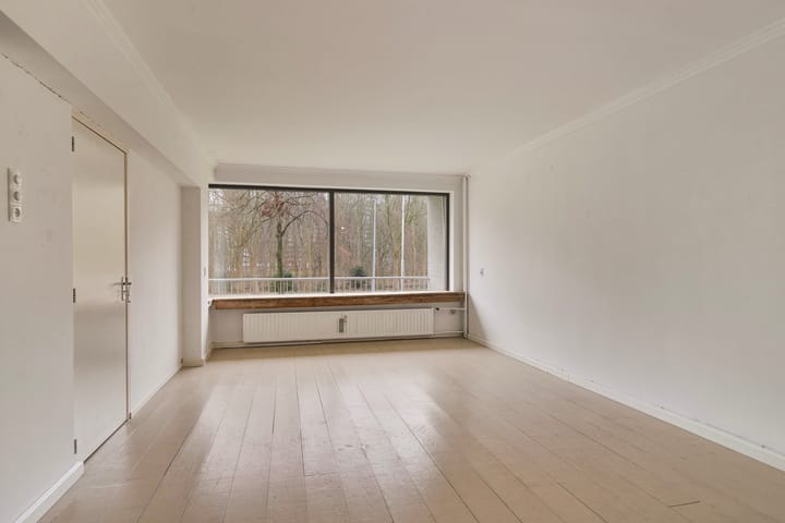 Foto 10 van Edmond Hellenraadstraat 58