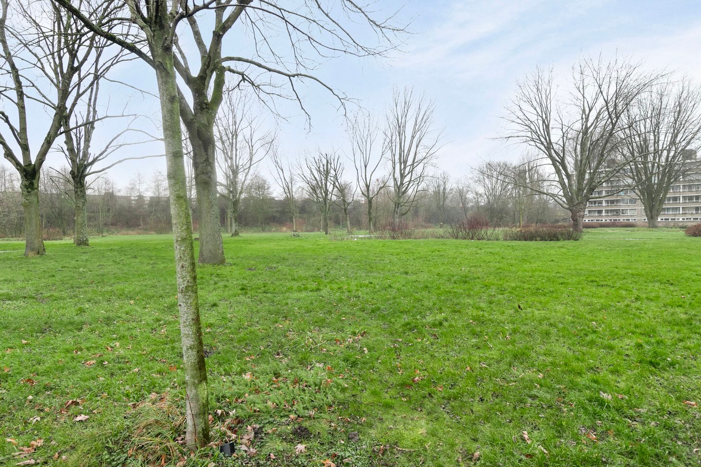 Foto 29 van Edmond Hellenraadstraat 58