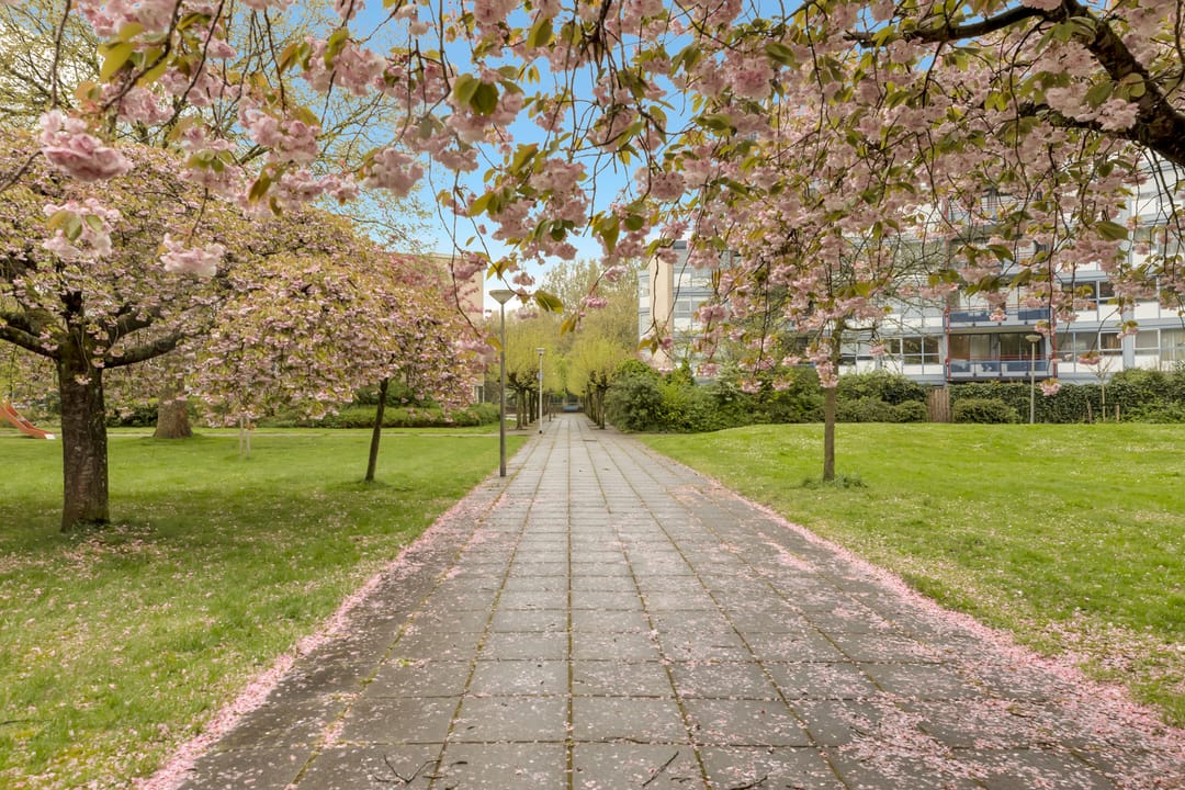 Foto 31 van Beysterveld 7