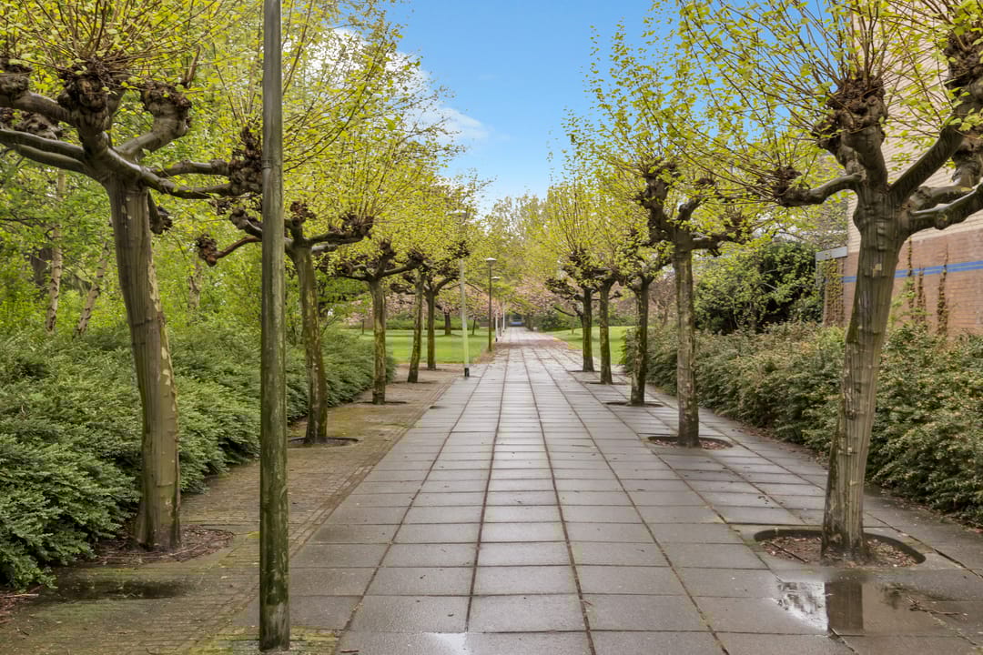 Foto 32 van Beysterveld 7