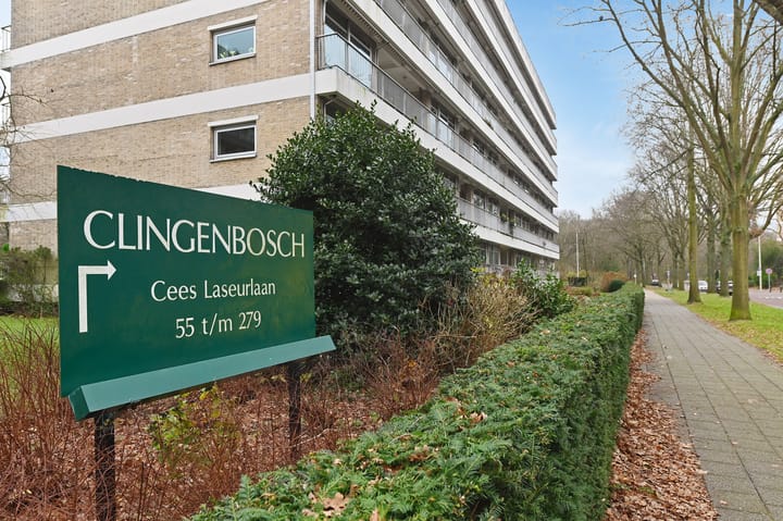 Foto 2 van Cees Laseurlaan 211