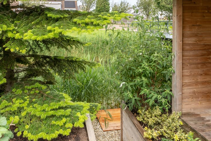 Foto 19 van Verdistraat 17