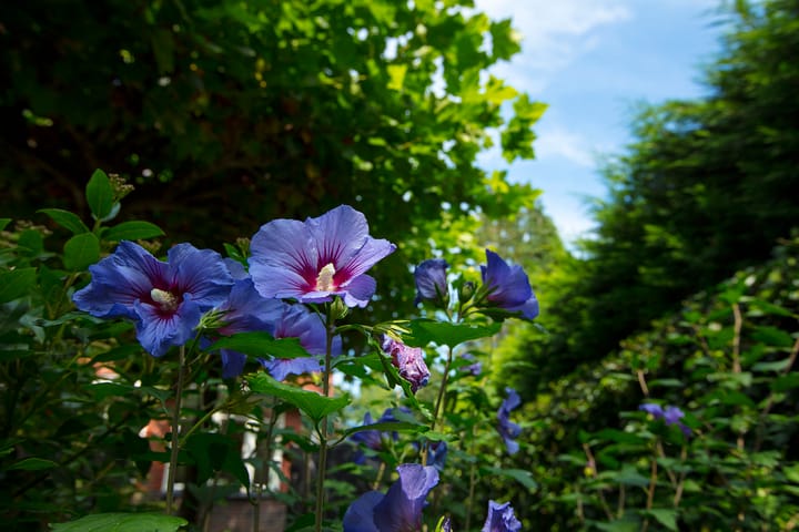 Foto 57 van Rijksstraatweg 154
