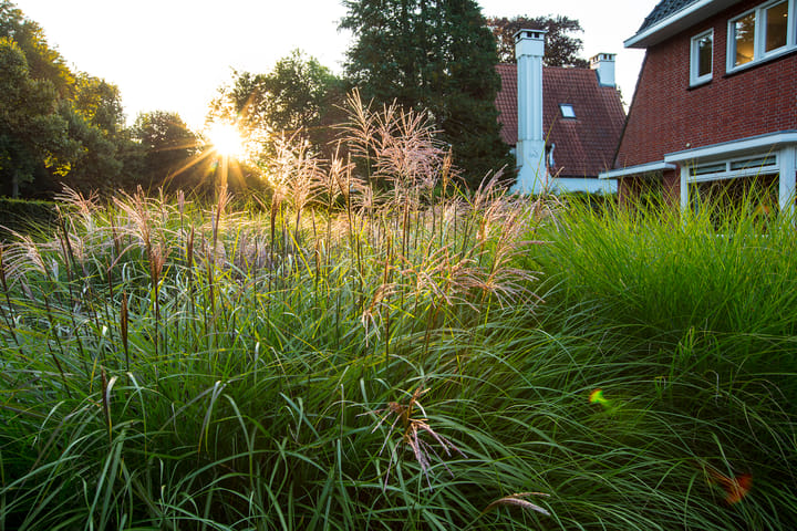 Foto 70 van Rijksstraatweg 154