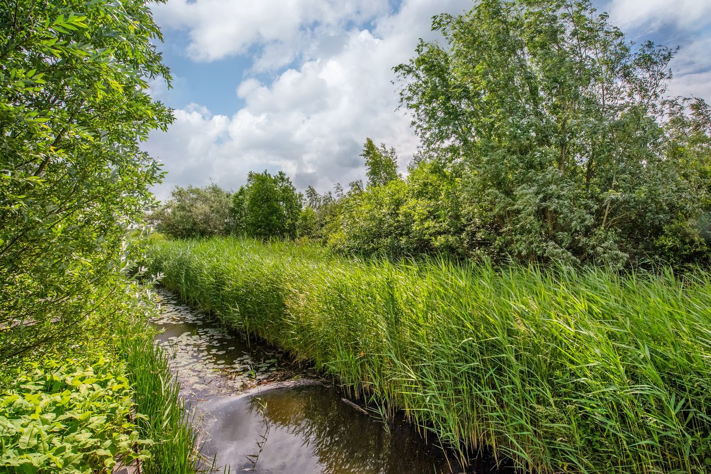 Foto 19 van Straat van Ormoes 147