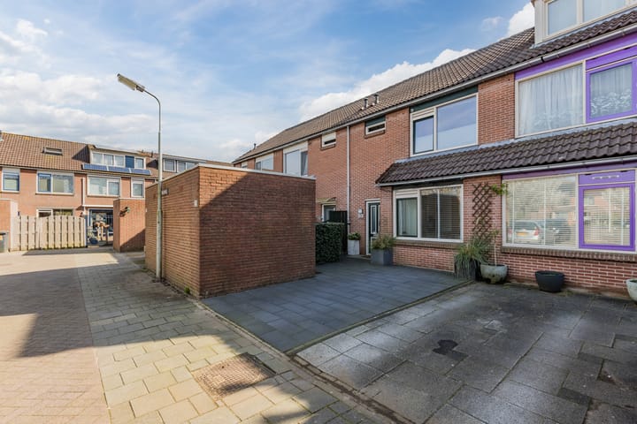 Photo 1 of Baardspringer 23