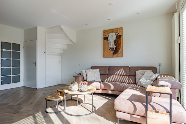 Photo 8 of Baardspringer 23