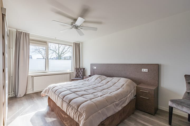 Photo 19 of Baardspringer 23