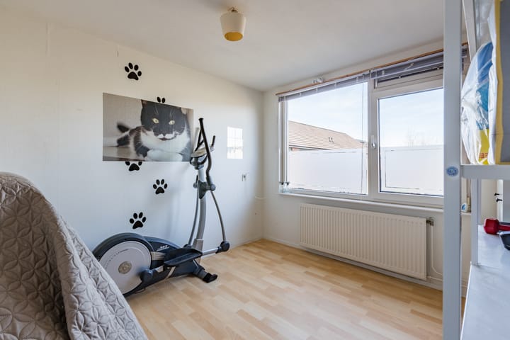 Photo 23 of Baardspringer 23