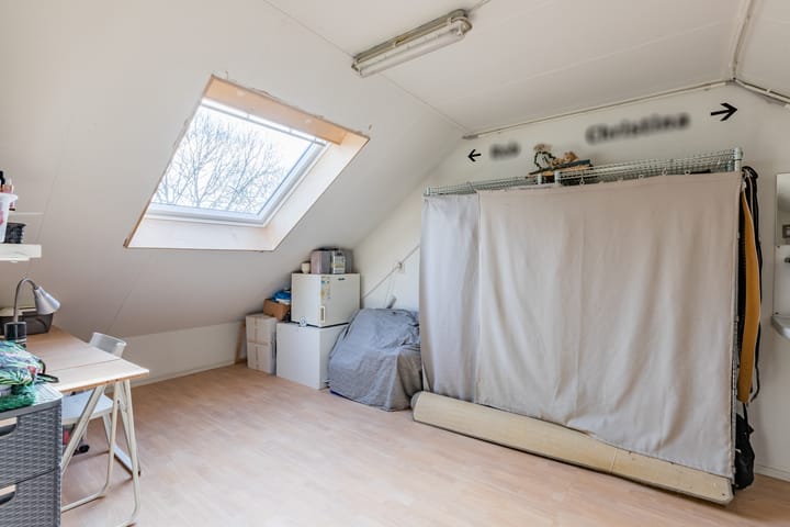 Photo 29 of Baardspringer 23