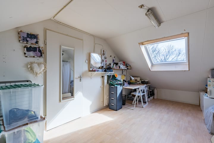 Photo 30 of Baardspringer 23