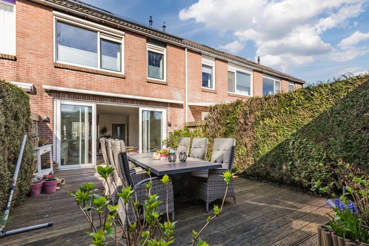 Photo 32 of Baardspringer 23