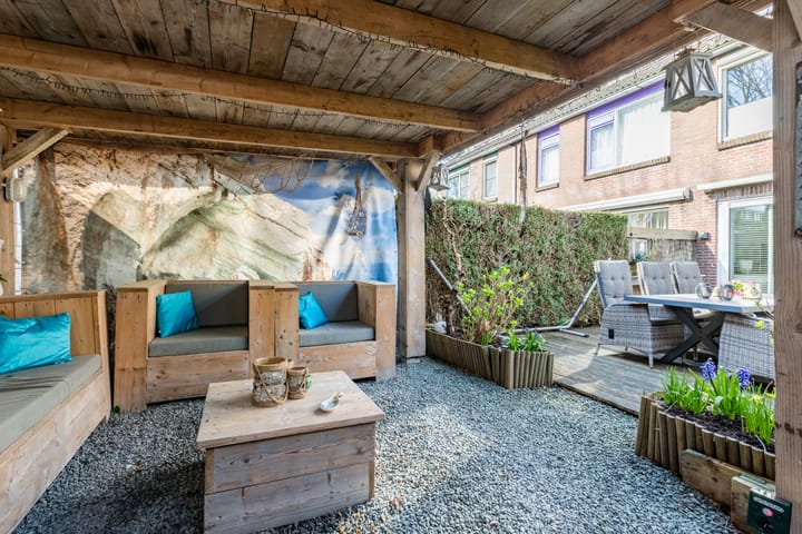 Photo 34 of Baardspringer 23